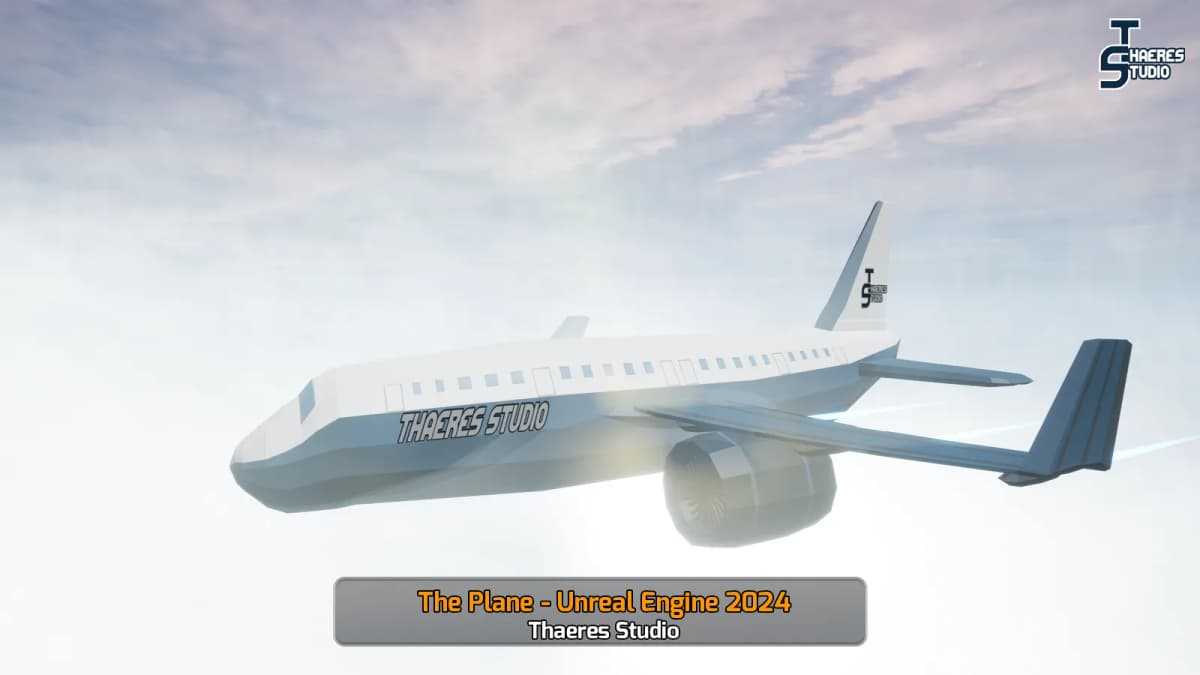 The Plane